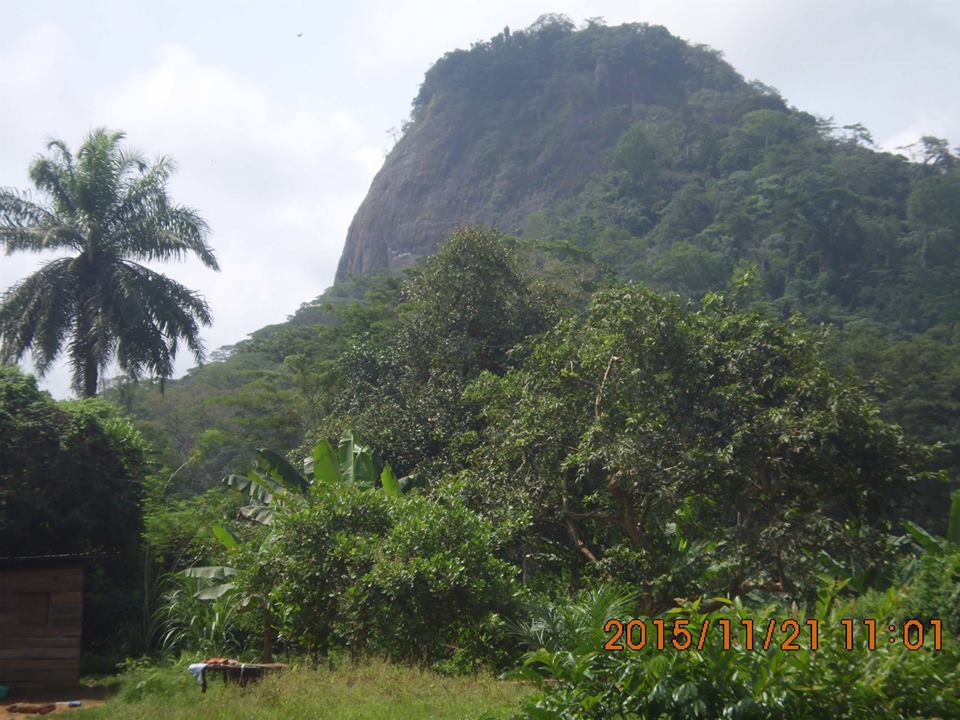 Mont ngog bassong 1