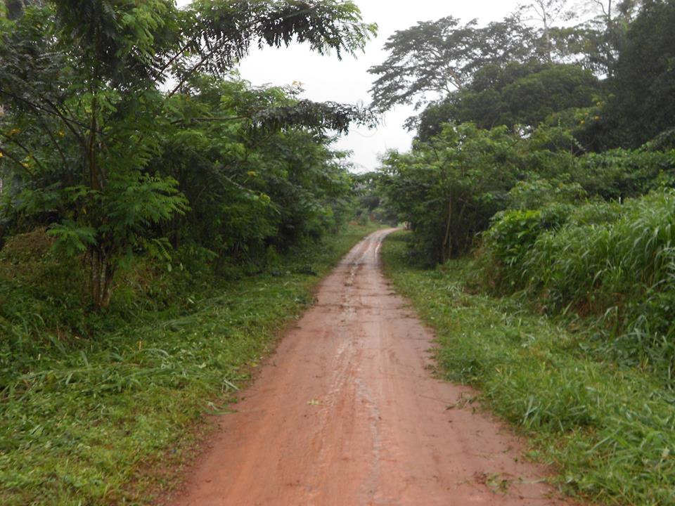 Route a ngog bassong